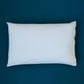 Miteguard Pillow Cover